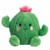 Prickles Cactus