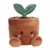 Terra Potted Plant