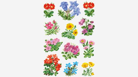 HERMA Blumen-Sticker