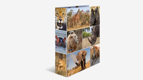 HERMA Designserie Tiere