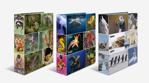 HERMA Ordner und Ringbücher