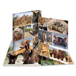 HERMA Sammelmappe, Afrika Tiere, A4