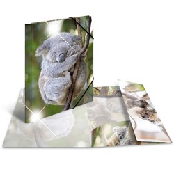 HERMA Sammelmappe Glossy, Koala, A3