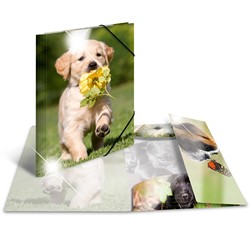 HERMA Sammelmappe Glossy, Hunde, A3