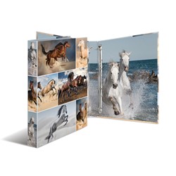 HERMA Ringbuch A4 Karton, 4D ,Pferde