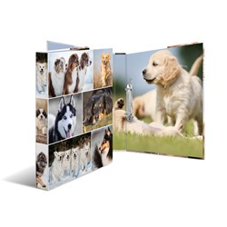 HERMA Ringbuch A4 Karton 2D Hunde