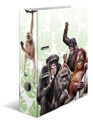 HERMA Motivordner, A4, Exotische Tiere, Affenbande