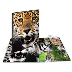 HERMA Sammelmappe A3 - Leopard