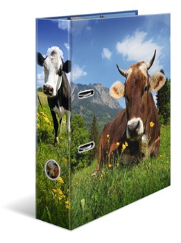 Masterbild