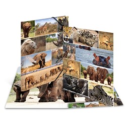 HERMA Sammelmappe, Afrika Tiere, A3