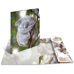 HERMA Sammelmappe Glossy, Koala, A3