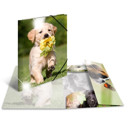 HERMA Sammelmappe Glossy, Hunde, A3