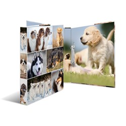 HERMA Ringbuch A4 Karton 2D Hunde