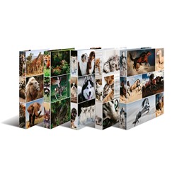 HERMA Ringbuch A4, 10er Set Tiere, 2D
