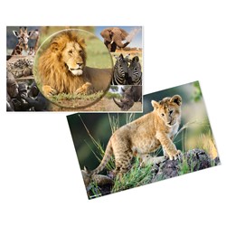 HERMA Schreibunterlage 550 x 350 mm, Afrika Tiere