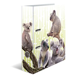 HERMA Motivordner, A4, Exotische Tiere, Koalafamilie