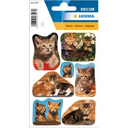 HERMA Decor Sticker, Katzenfotos