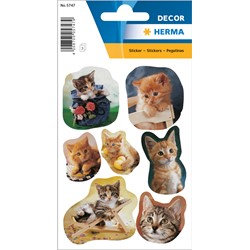 HERMA Decor Sticker, Fotogene Kätzchen
