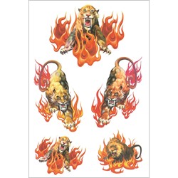 HERMA Tattoo Sticker, Colour Art, Wilde Tiger
