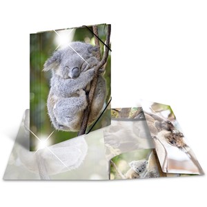 HERMA Sammelmappe Glossy, Koala, A4