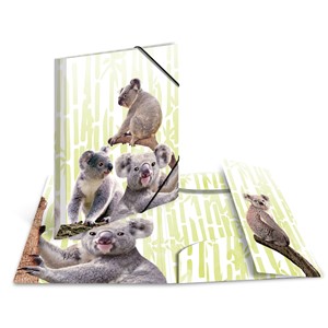 HERMA Sammelmappe, Koalafamilie, A4