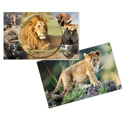 HERMA Schreibunterlage 550 x 350 mm, Afrika Tiere